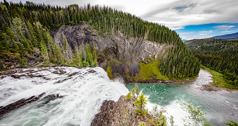 Wild Harts of northern B.C.