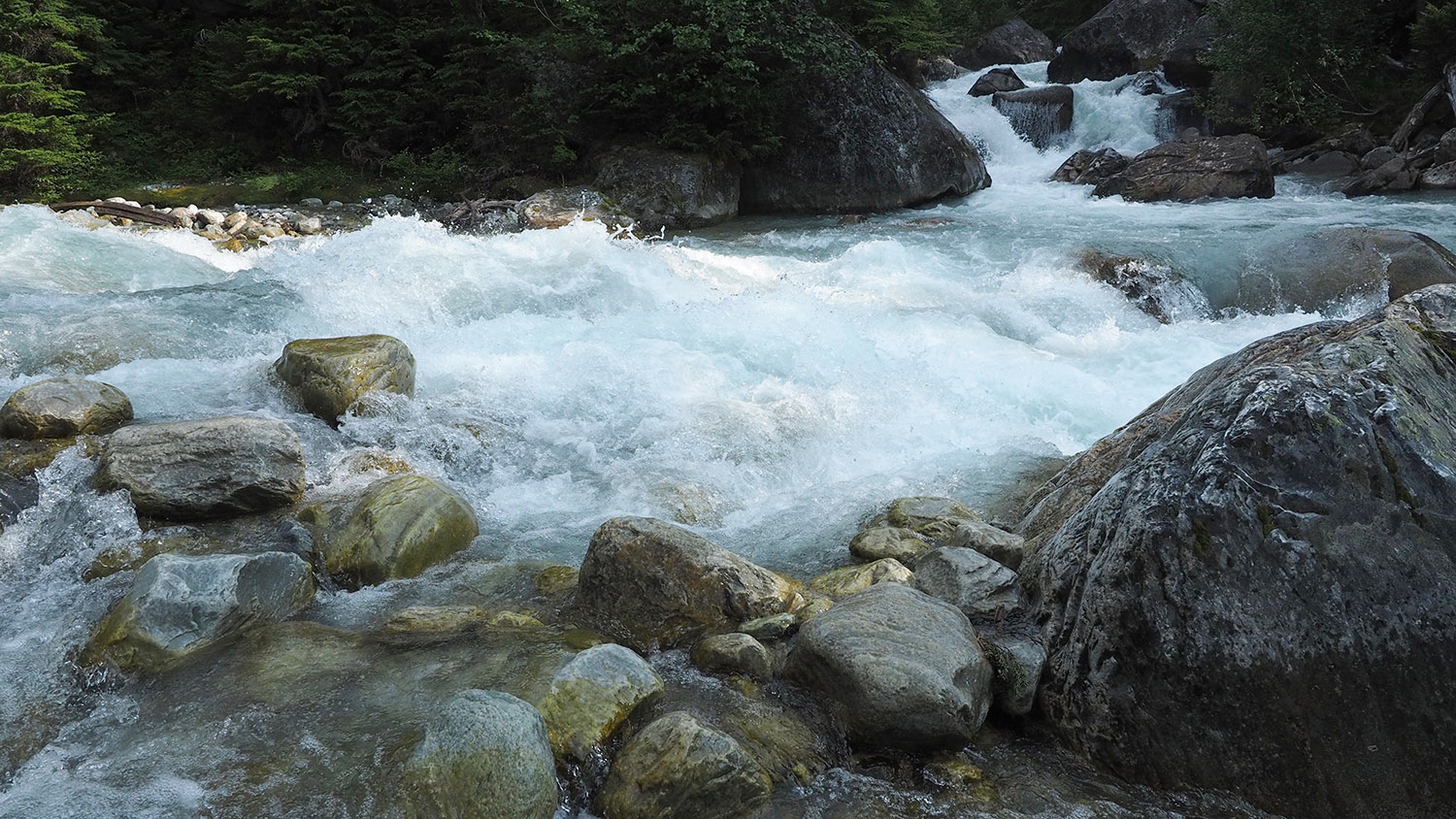Columbia Headwaters