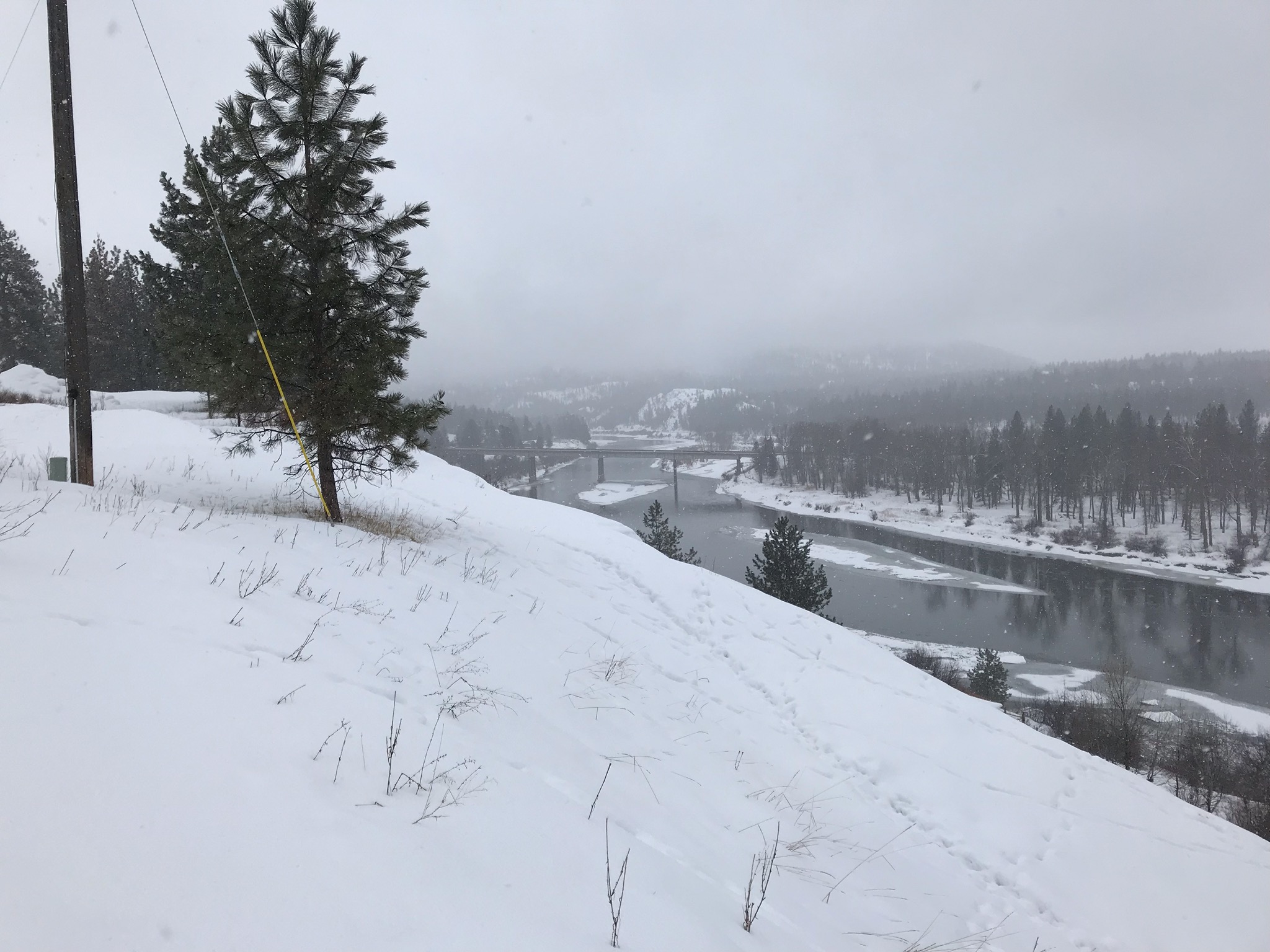 Ninemile in Montana