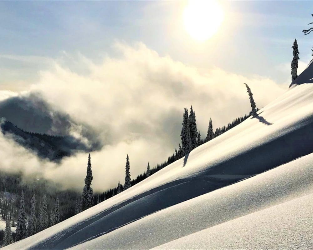 Wildlife Wise in BC