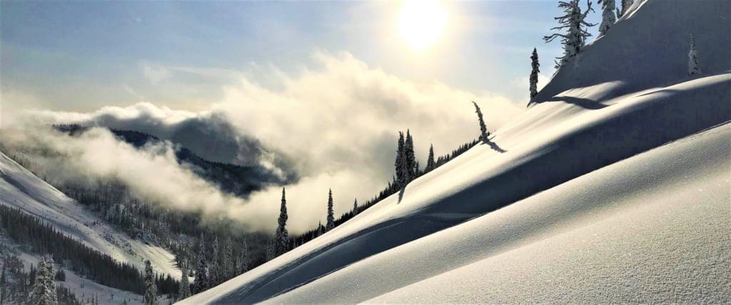 Wildlife Wise in BC