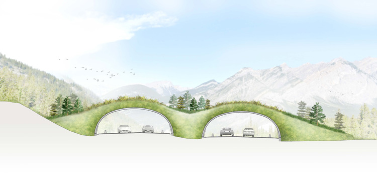 A new wildlife overpass east of Canmore on highway 1 in Alberta
