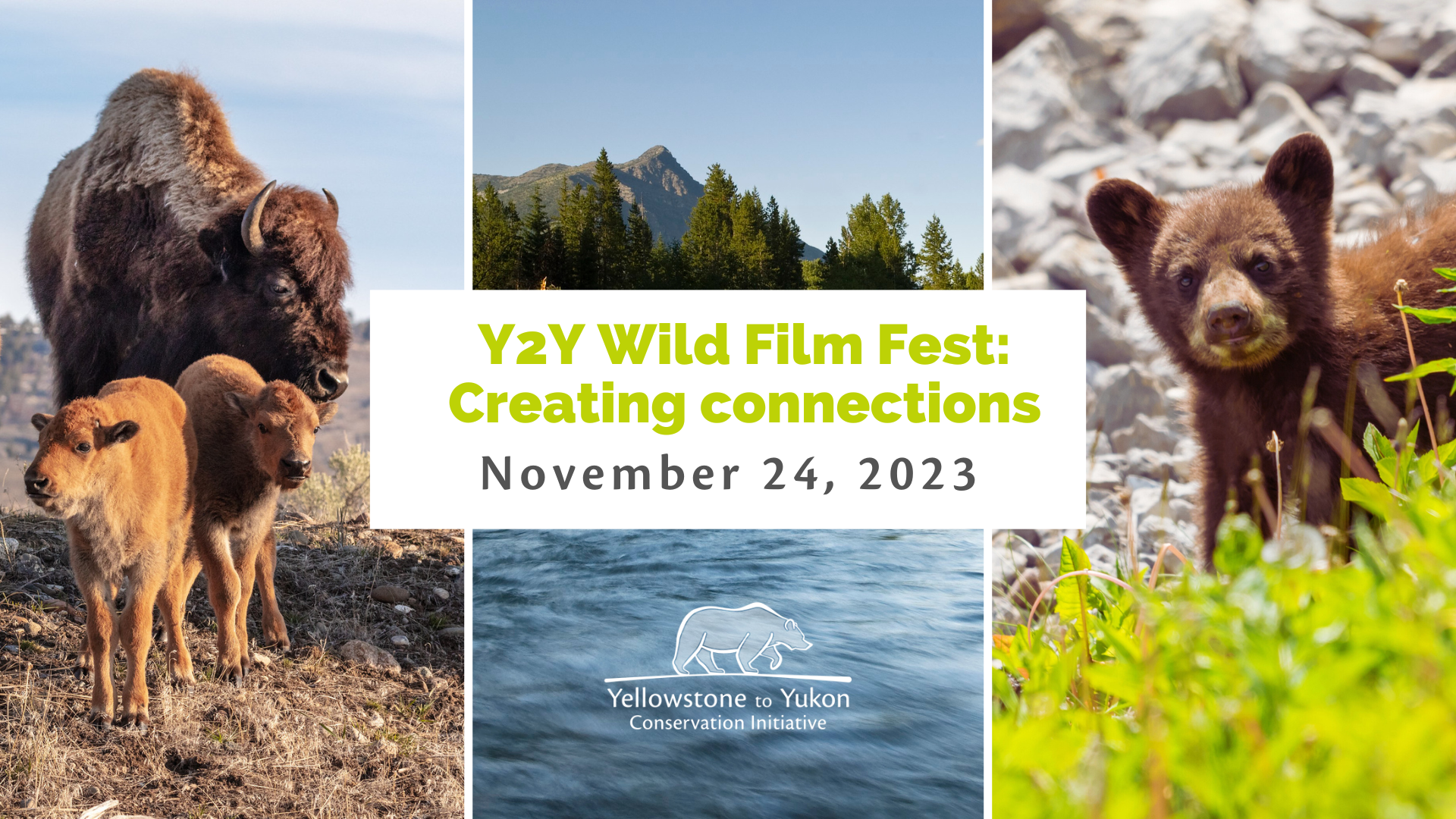Web event – Nov 2023 Y2Y film fest (1920 x 1080 px)