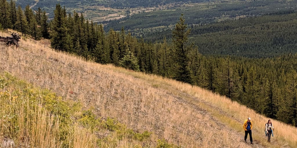 Alberta hiking | Yellowstone to Yukon Conservation Initiative