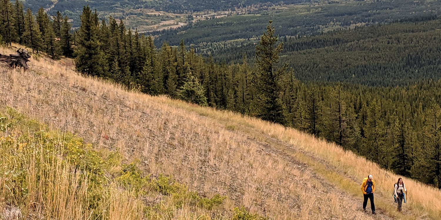 Alberta hiking | Yellowstone to Yukon Conservation Initiative