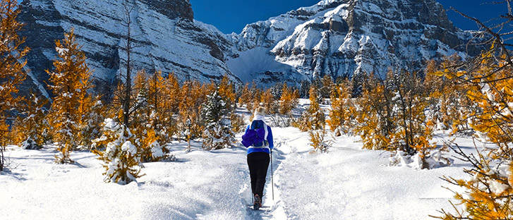 Winter recreation in Alberta | Yellowstone to Yukon Conservation Initiative