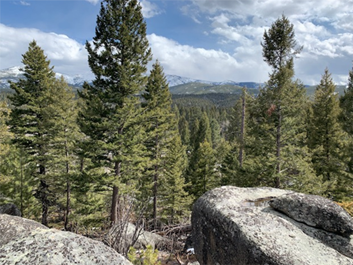 Helena-Lewis and Clark National Forest's Elkhorn Mountains.