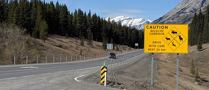 Wildlife corridor signage