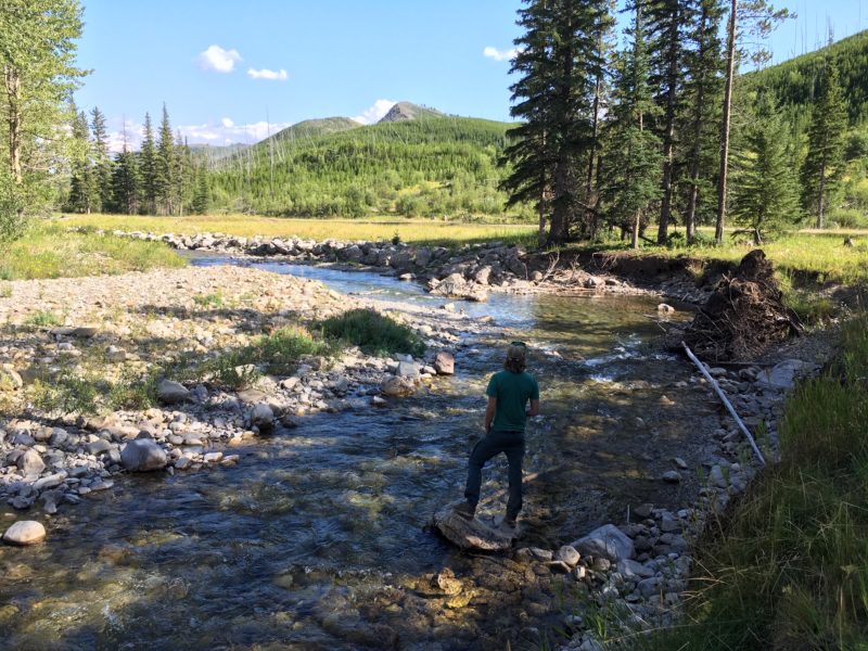 Alberta's Castle Parks