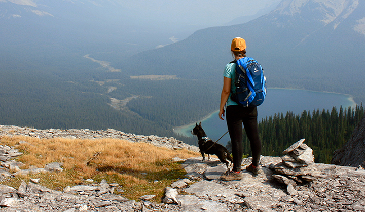 Person walks a small dog on a leash on a mountain cliff