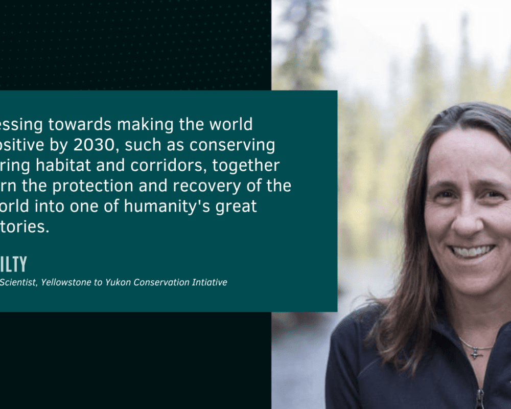 Jodi Hilty Nature Positive by 2030