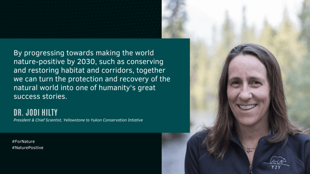 Jodi Hilty Nature Positive by 2030