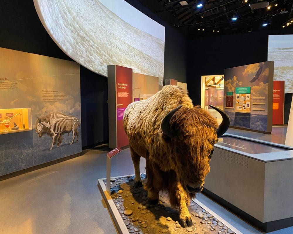 Exhibits at Wanuskewin Heritage Park