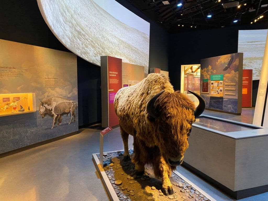 Exhibits at Wanuskewin Heritage Park