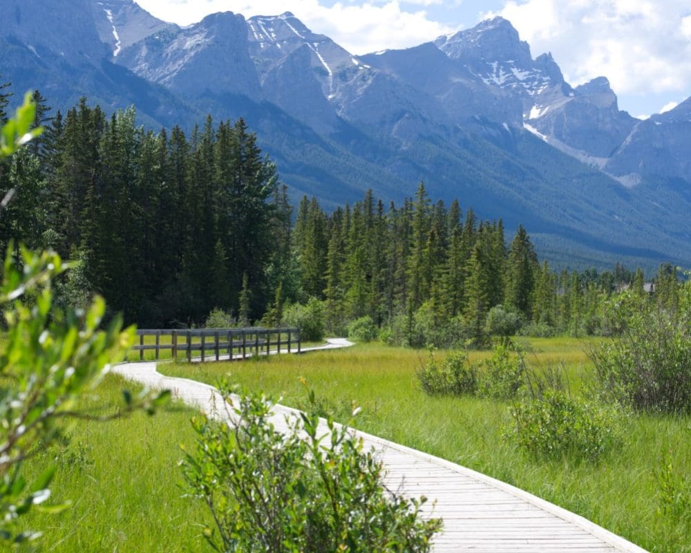 A boardwalk crosses a meadow in the Bow Valley