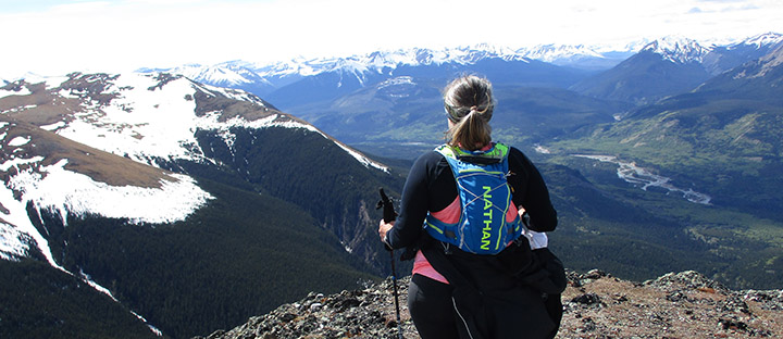 A person faced away from the camera looks out on a mountain scene