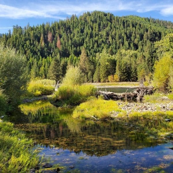 Clark Fork habitat protection