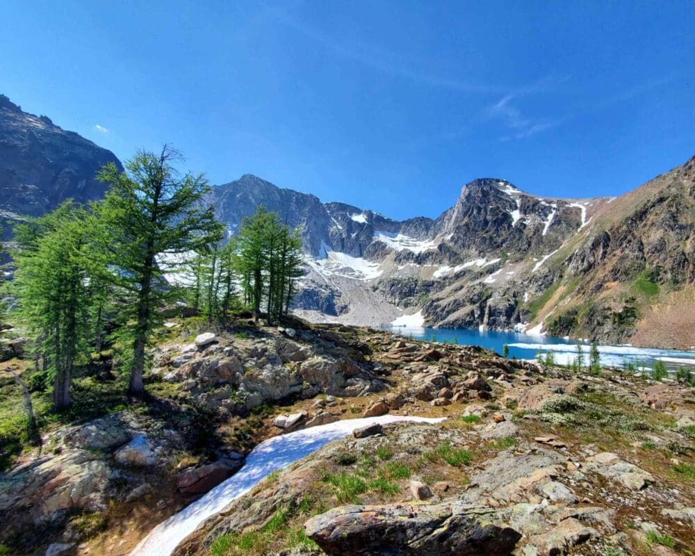Wolverine habitat in BC
