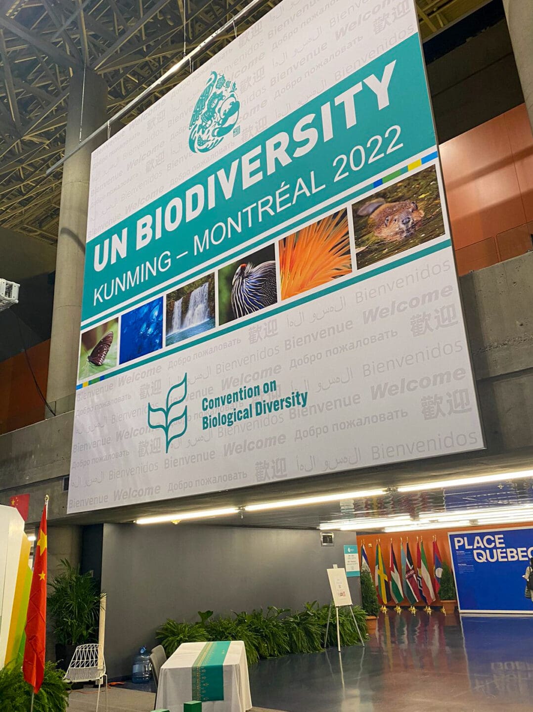 An image of COP15 proceedings in Montreal in December 2022