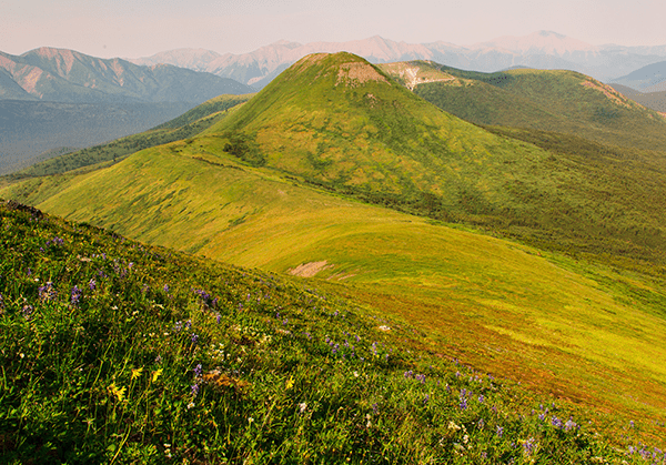 A sweeping green rolling hill in Kaska ancestral territory