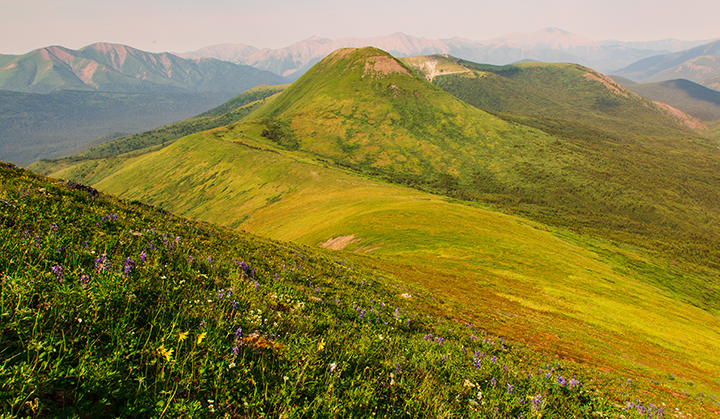 A sweeping green rolling hill in Kaska ancestral territory