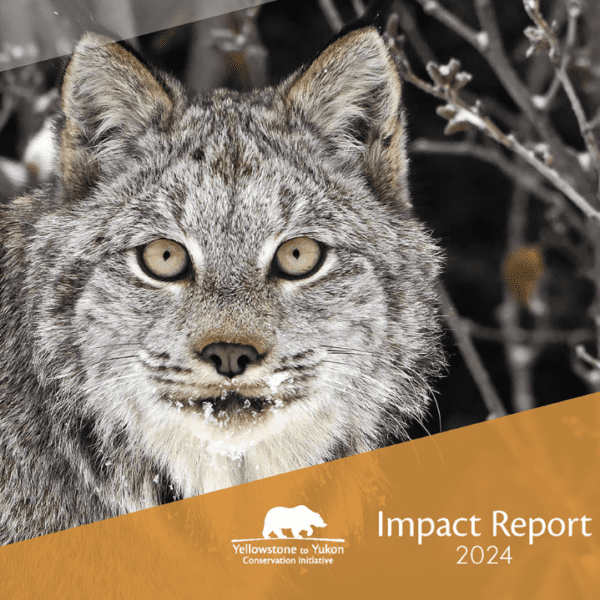 Y2Y 2024 Impact Report cover