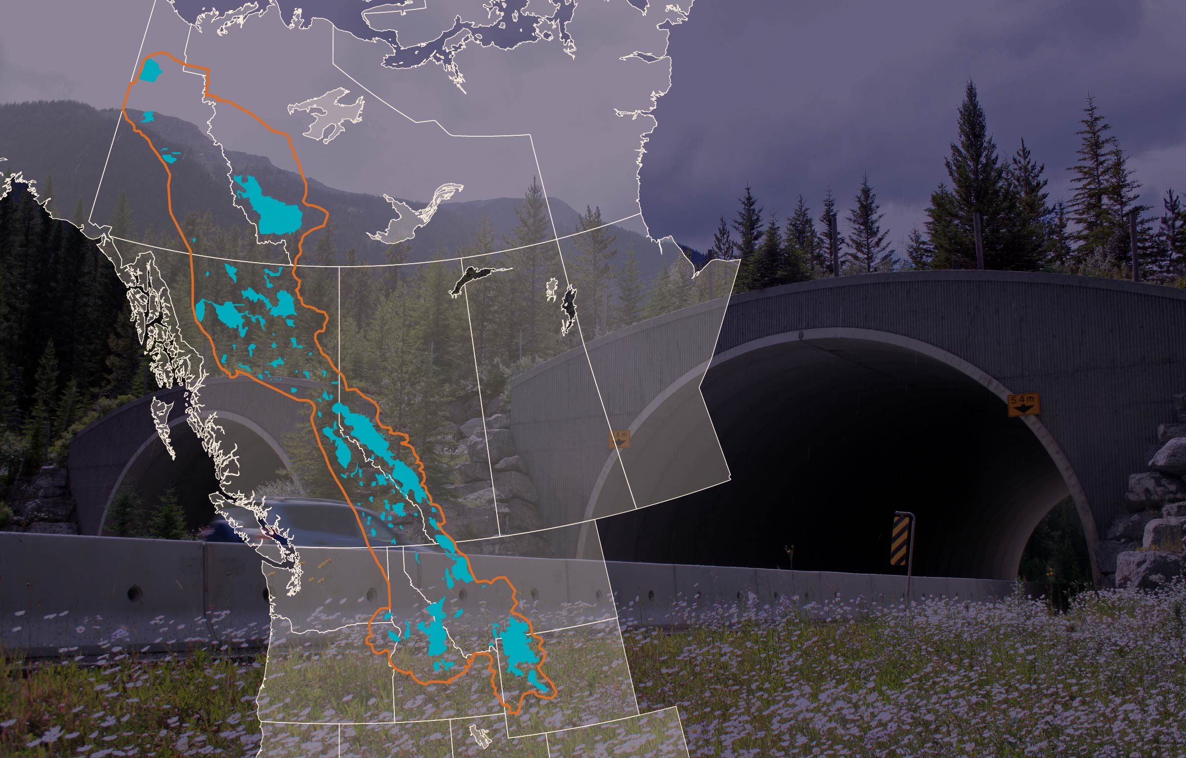 Invested more than $60 million in new community conservation funding across the region to support local projects