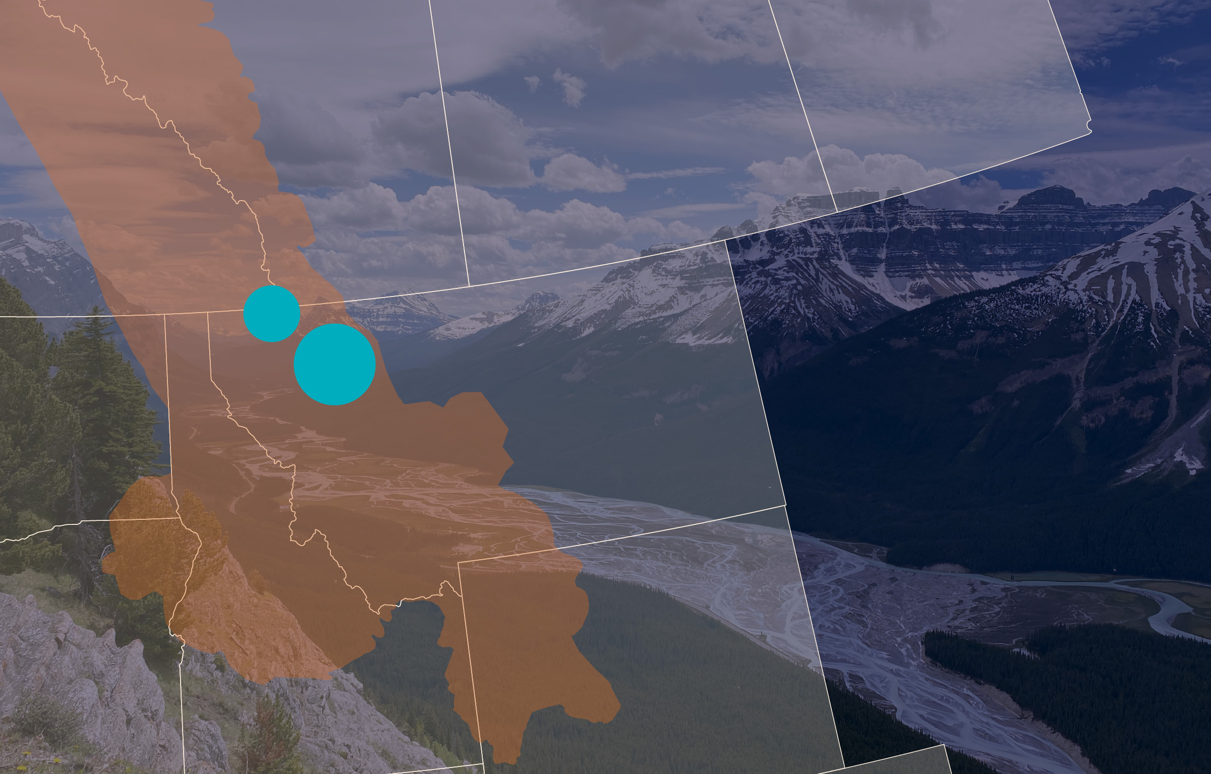 As a united effort with willing landowners, we have conserved 2,000 km2 (500,000 acres) of private land in vital wildlife corridors, creating connections between protected areas. This vital connection has led to grizzly bears reappearing in regions of the United States where they have not been seen in more than a century