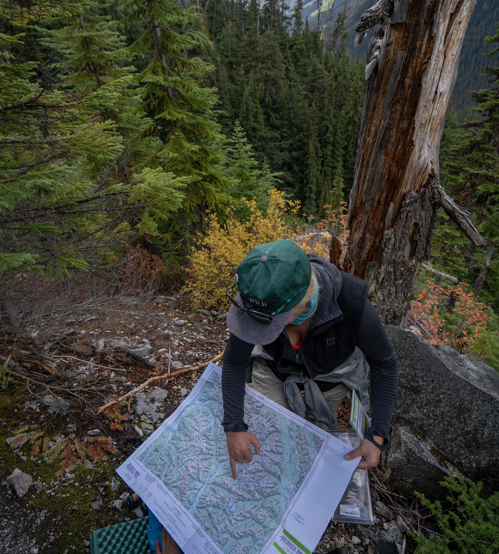Jumbo Pass Columbia Headwaters