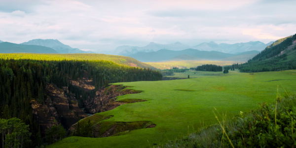 Setting a shared course on a strong future in Southwest Alberta