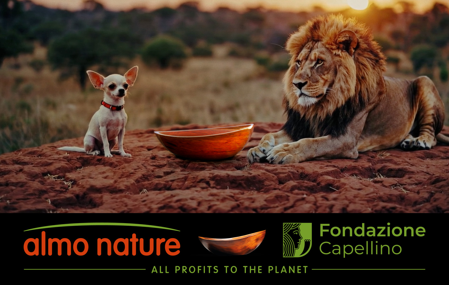 Y2Y and Fondazione Capellino