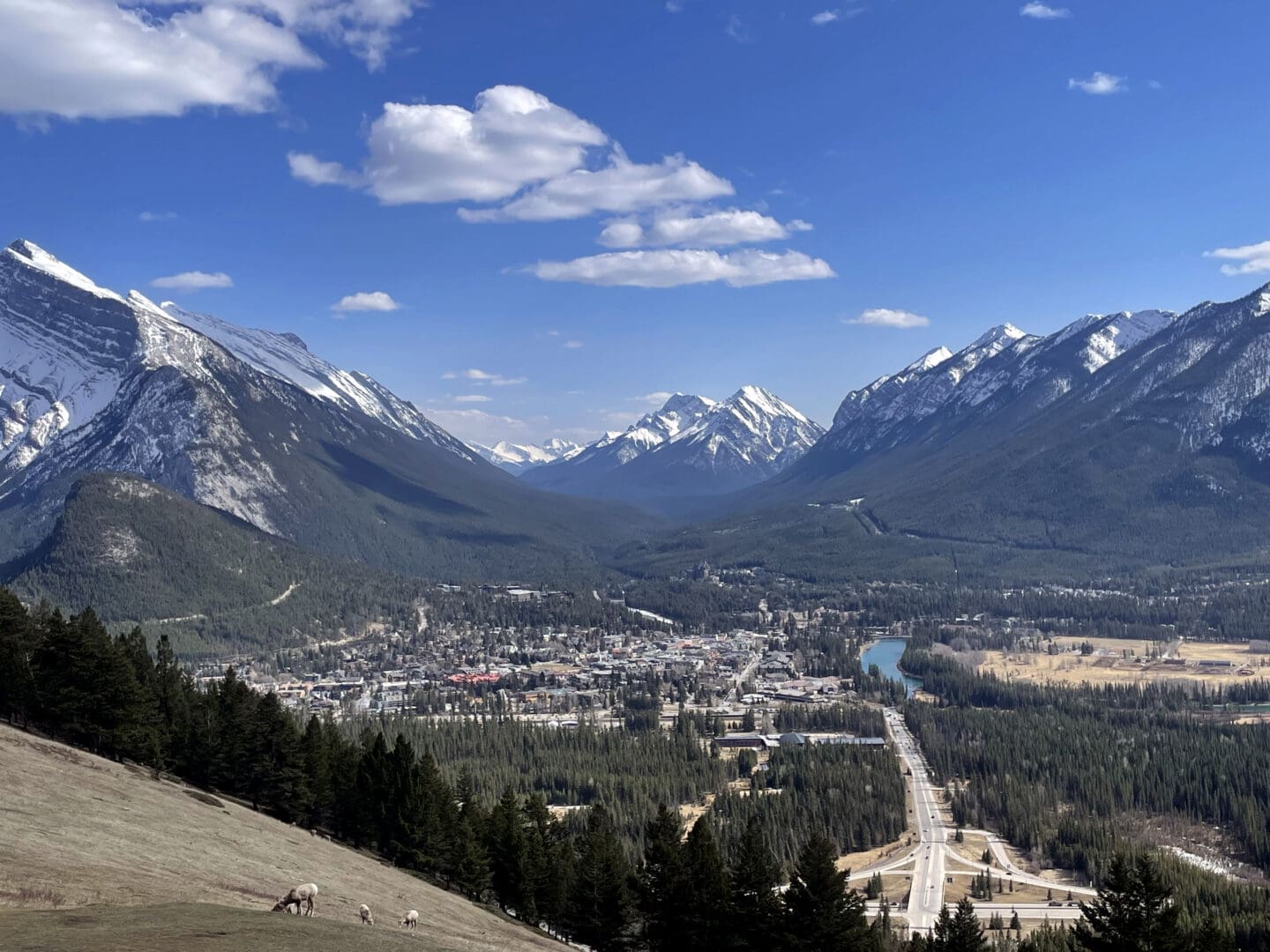A view of Banff townsite from Mount Norquay