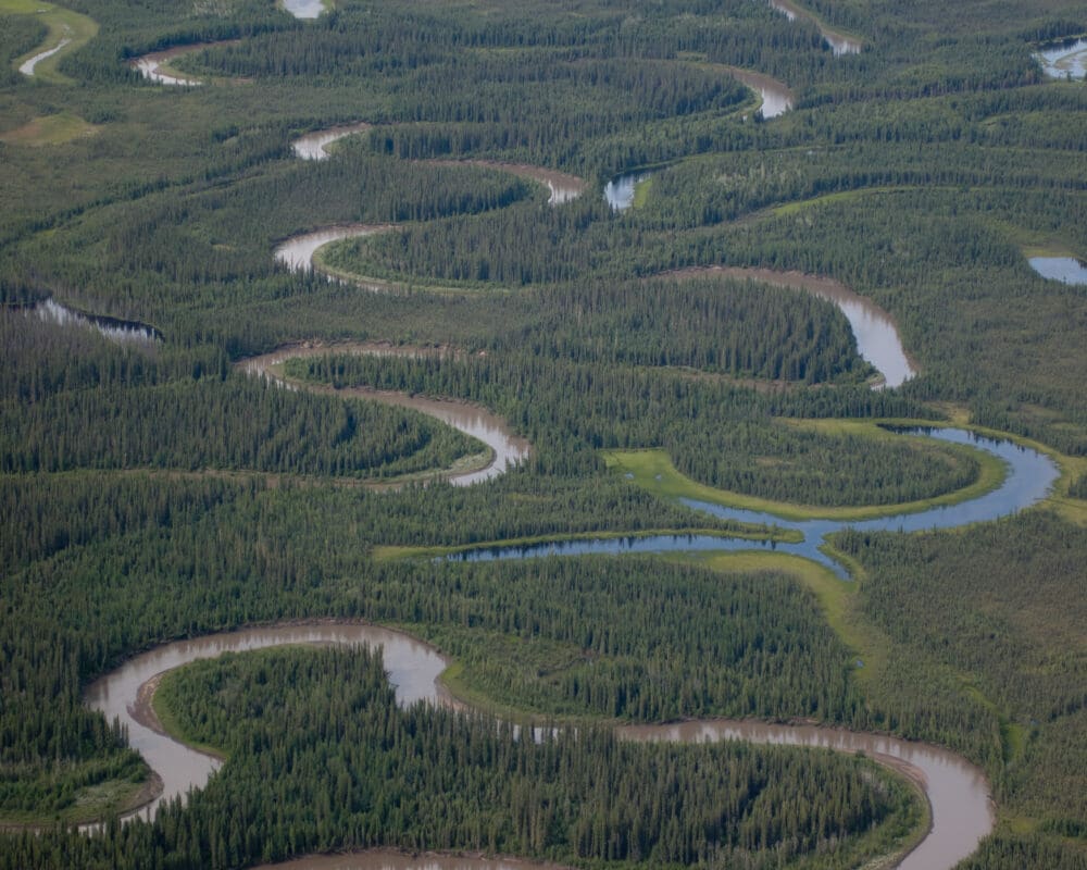 An aerial view of multiple snaking rivers in Nahanni National Park, Northwest Territories
