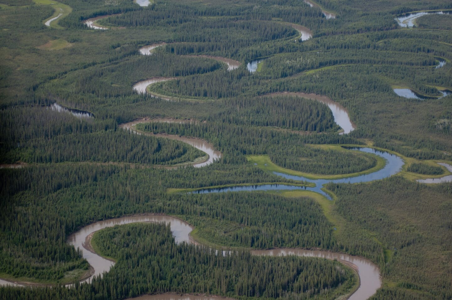 An aerial view of multiple snaking rivers in Nahanni National Park, Northwest Territories