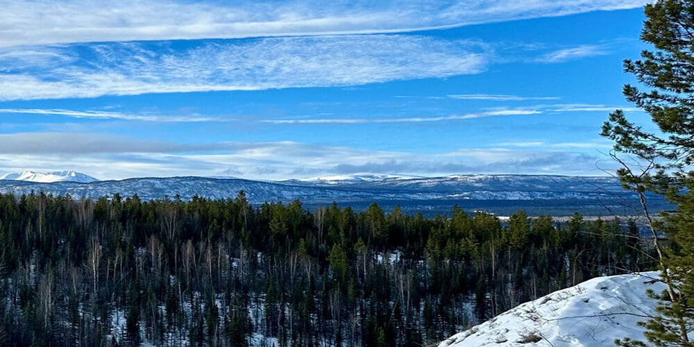 A view of a wintery landscape with many trees, rolling mountains and hills in the distance and a tree and hill in the foreground
