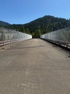Fencing on wildlife bridge.