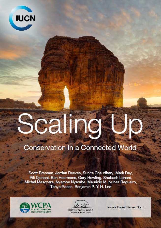 Image of the cover of Scaling Up: Conservation in a Connected World, an IUCN issues paper released in October 2025